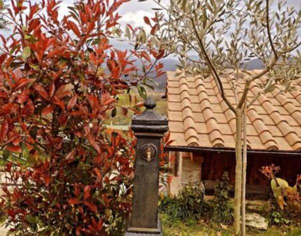 Il Podere Di Massi Barberino di Mugello Bagian luar foto