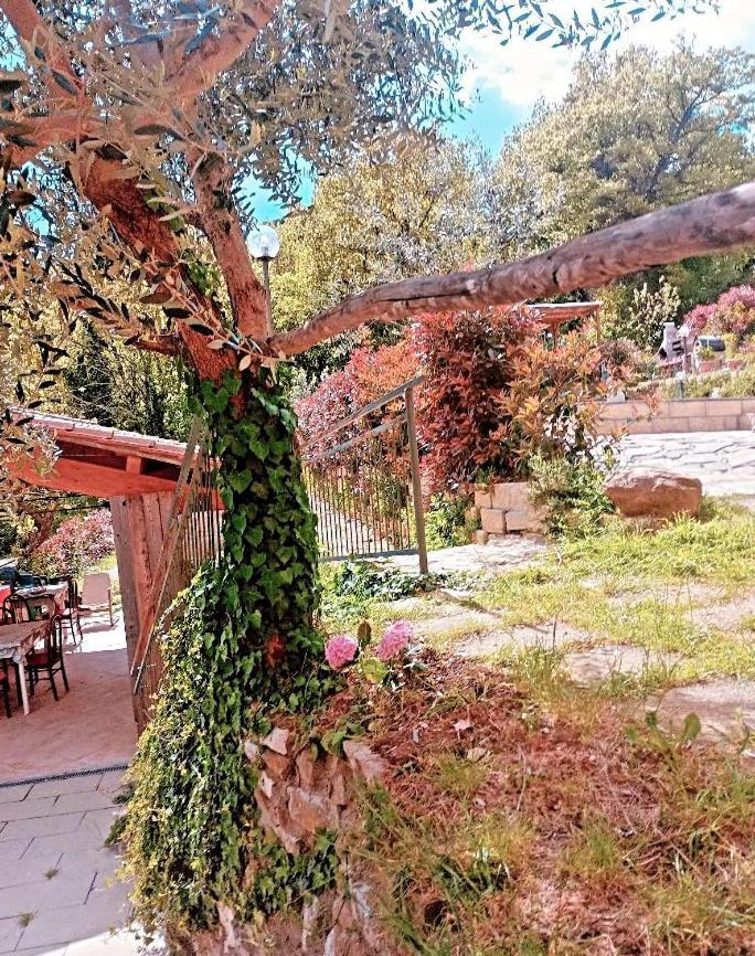 Il Podere Di Massi Barberino di Mugello Bagian luar foto