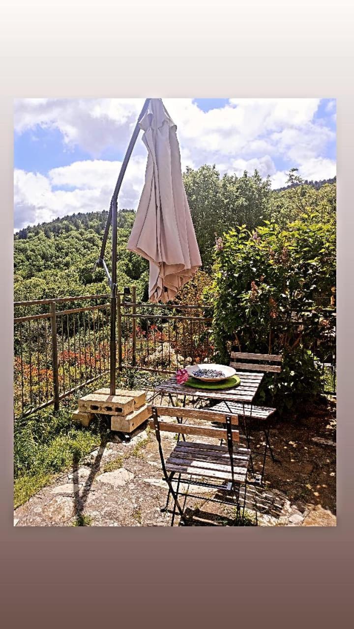 Il Podere Di Massi Barberino di Mugello Bagian luar foto