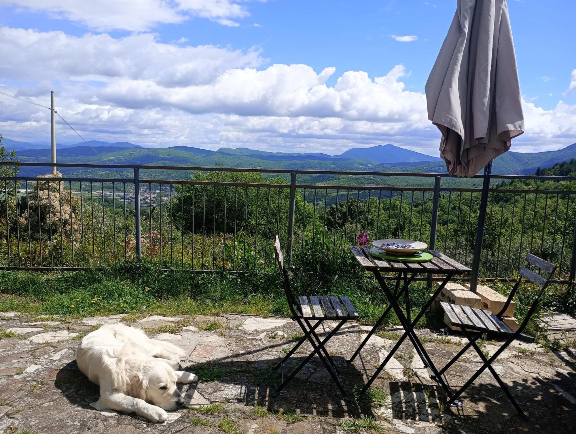 Il Podere Di Massi Barberino di Mugello Bagian luar foto