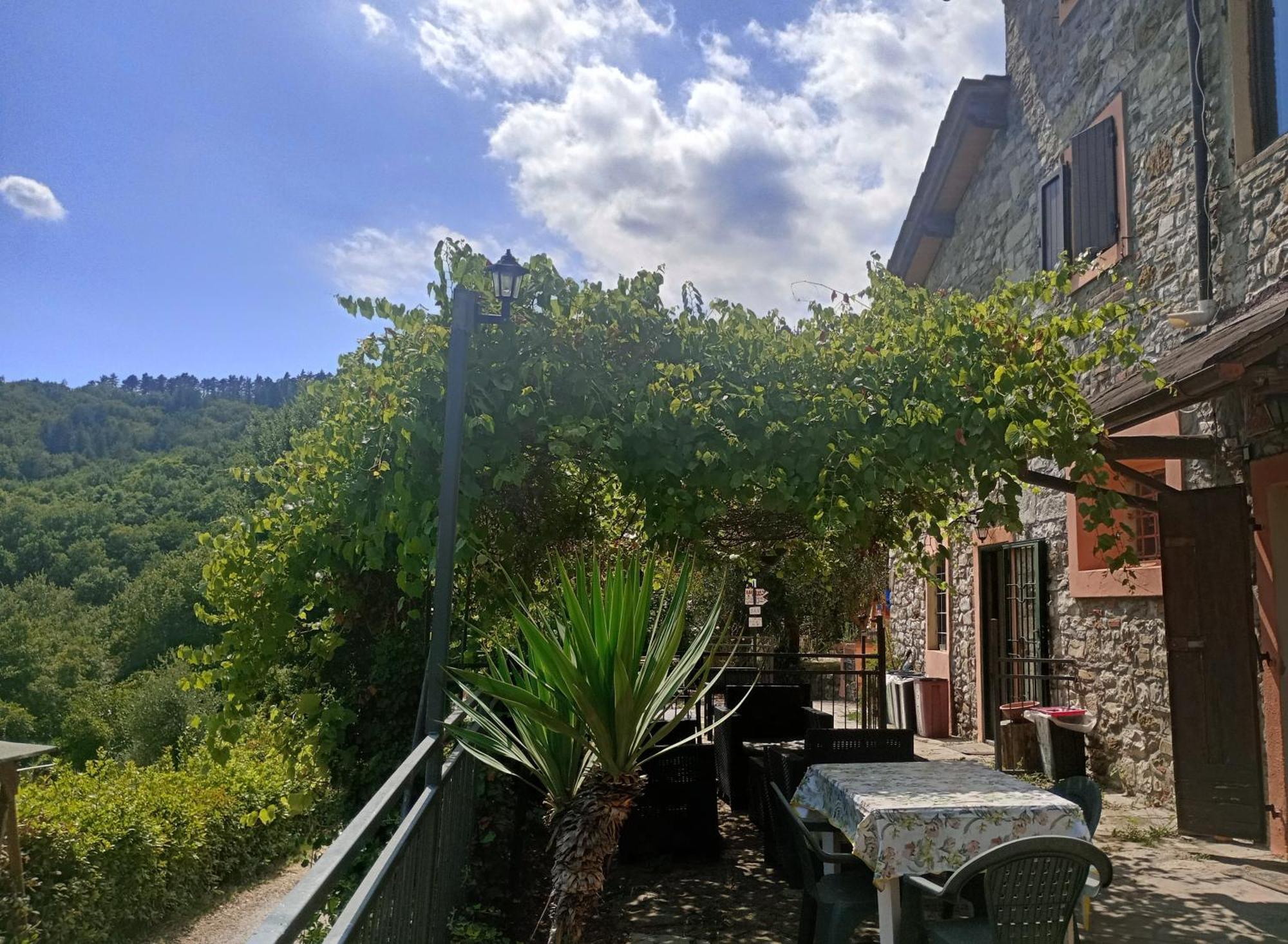 Il Podere Di Massi Barberino di Mugello Bagian luar foto